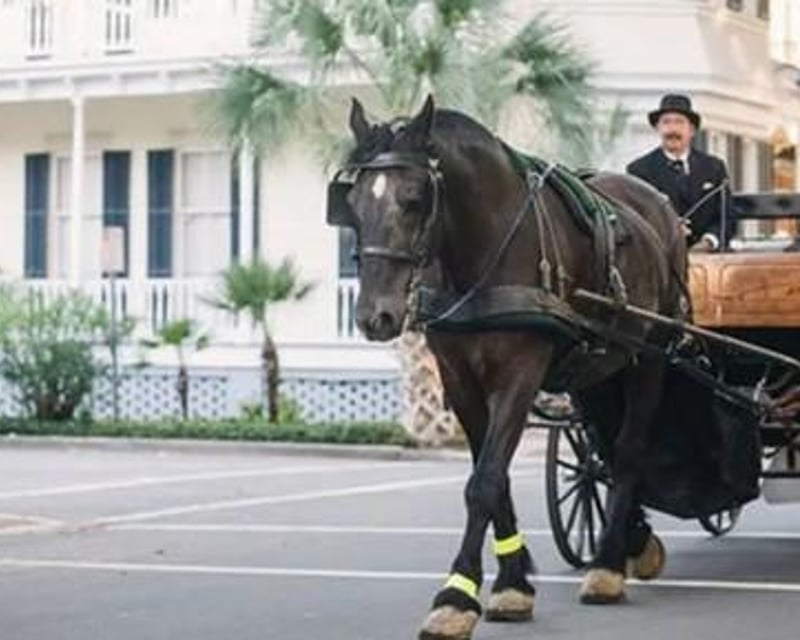 Private Horse-Drawn Carriage Tour in Savannah