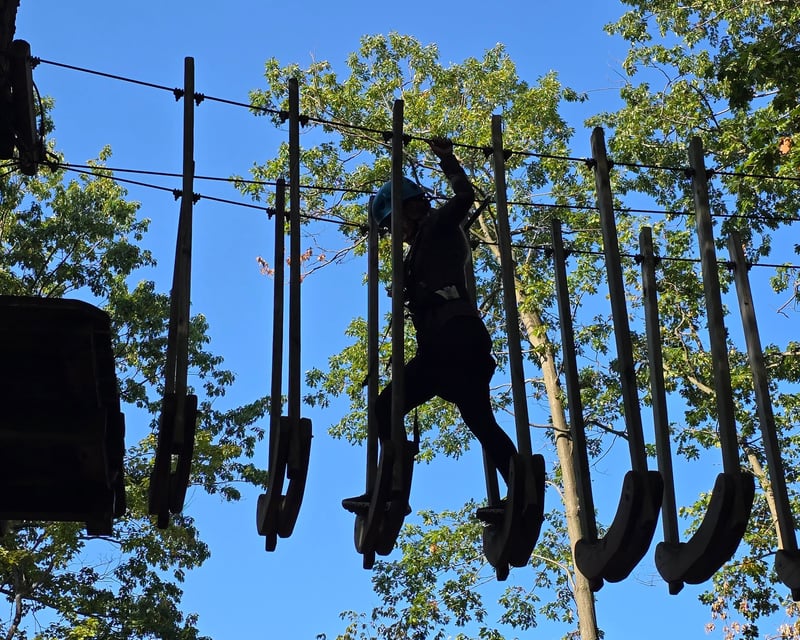 Geneva-on-the-Lake 8-Zipline Tour & Adventure Course