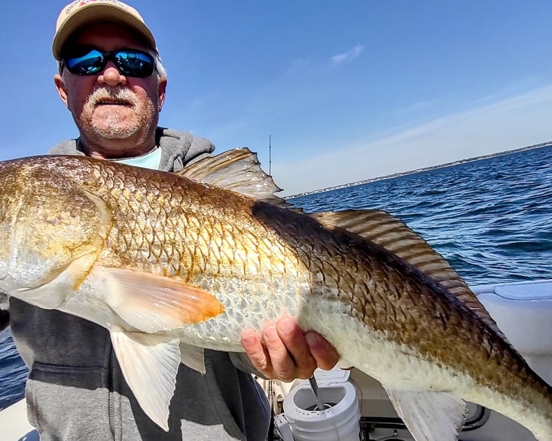 Pensacola Inshore Fishing Charter