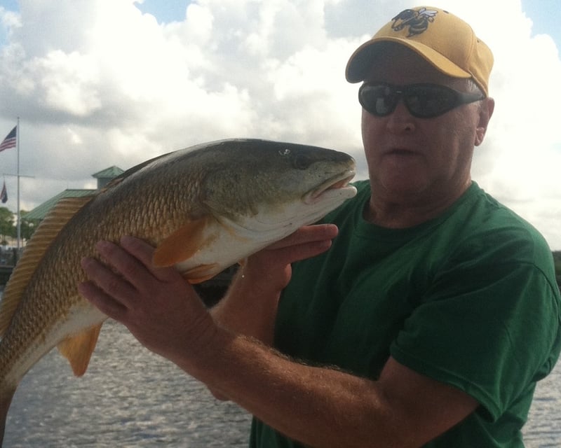 Panama City Beach Offshore Bottom Fishing Charter