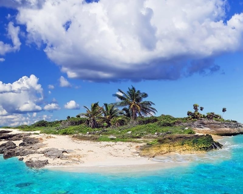 Private Gulf Coast Boat Tour in St. Petersburg