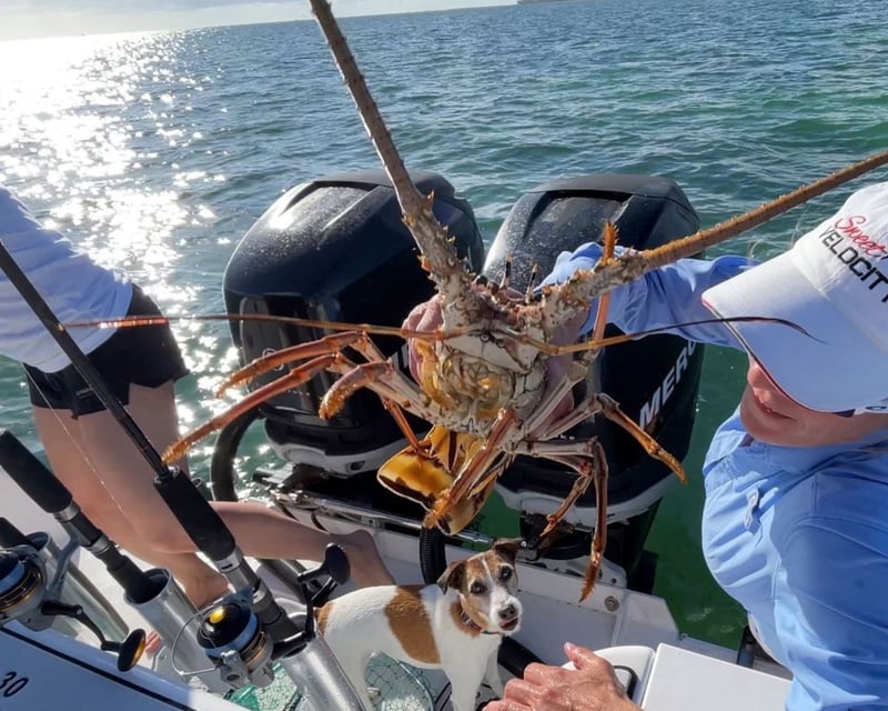 Lobster Snorkeling Charter in Key West