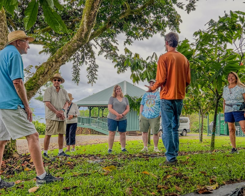 Cacao Orchard Tour & Hawaiian Chocolate Tasting in Hilo