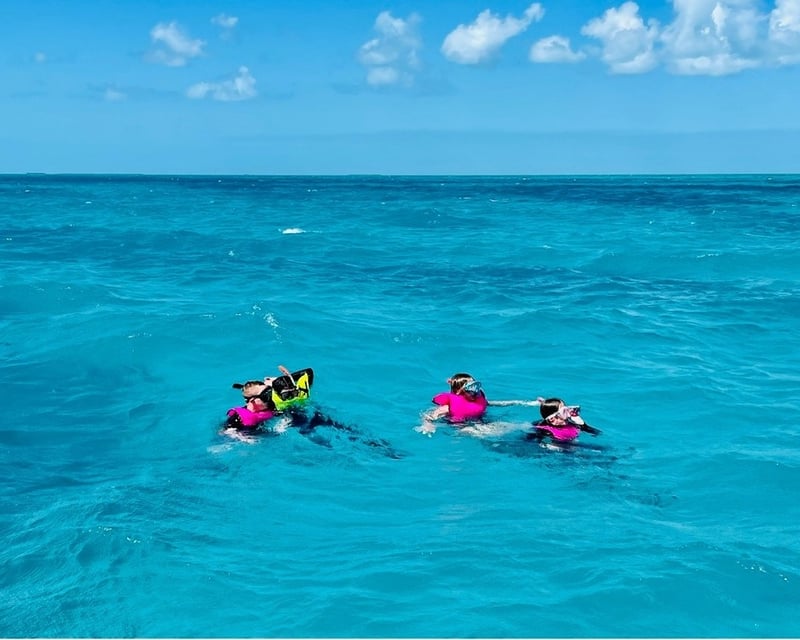 Key West Snorkeling & Dolphin Watching Charter