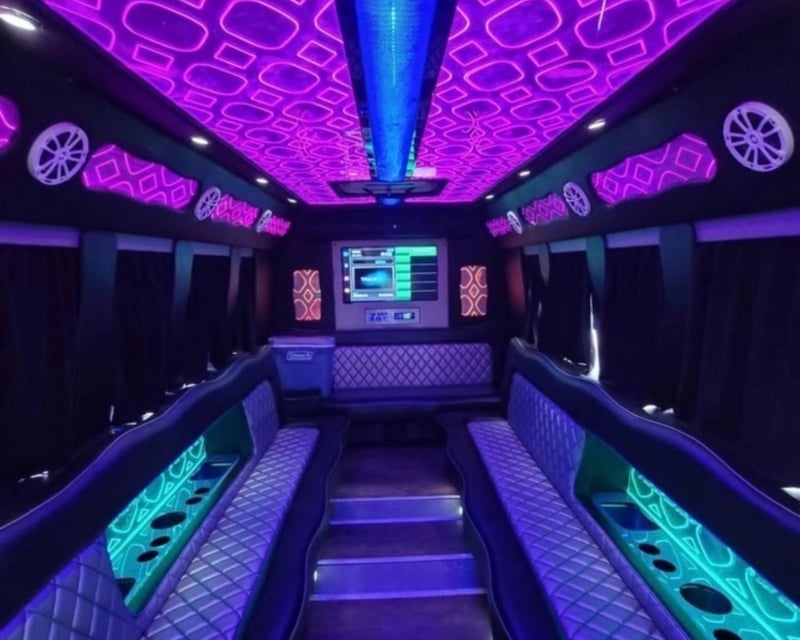 20-Passenger Party Bus Rental in Austin