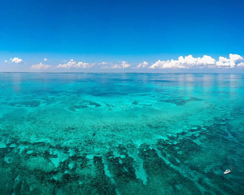 4-Hour Snorkeling Charter in Key Largo