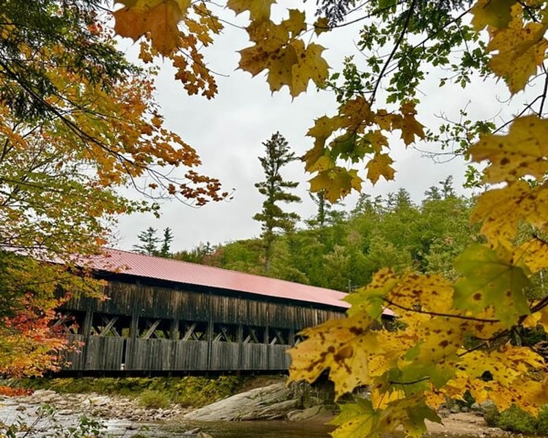 White Mountains Private Guided Tour