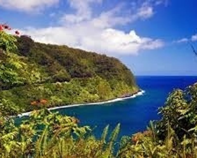 Private Road to Hana Rainforest & Waterfall Tour in Maui