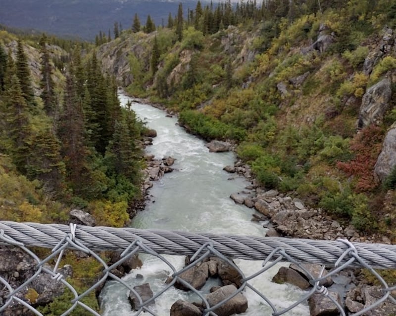 Yukon Suspension Bridge Guided Tour From Skagway