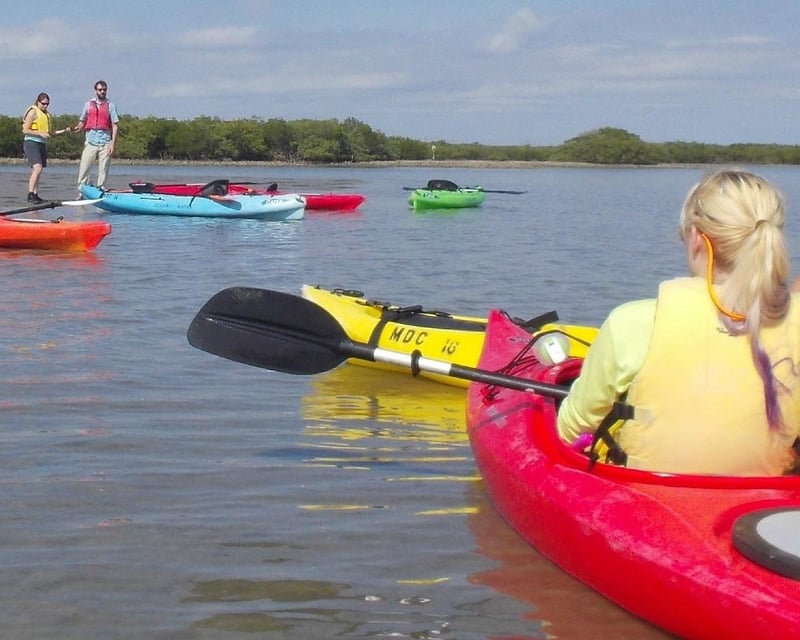 Eco Kayak Tour in New Smyrna Beach