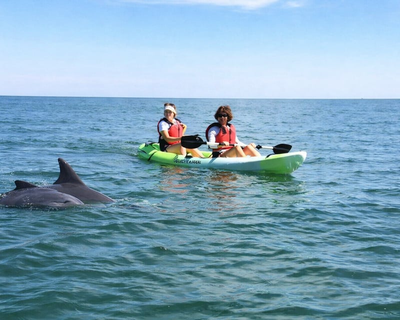 Nokomis Double Kayak Rental