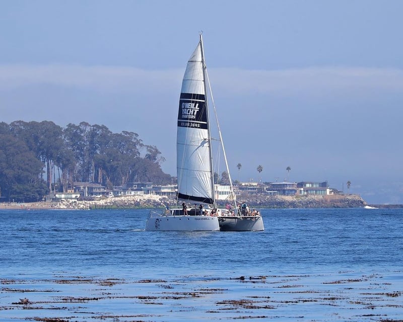 Santa Cruz 1-Hour Daytime Sailing Cruise