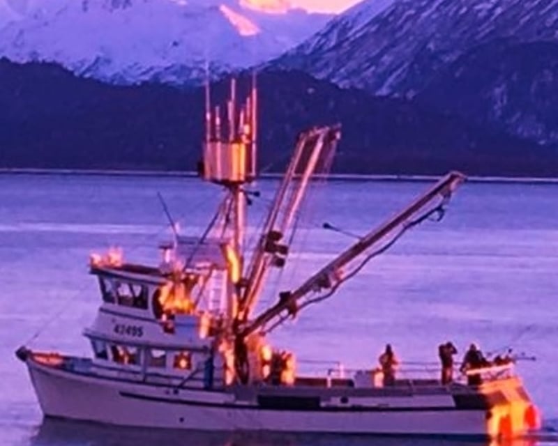 Kachemak Bay King Salmon Trolling Charter in Homer