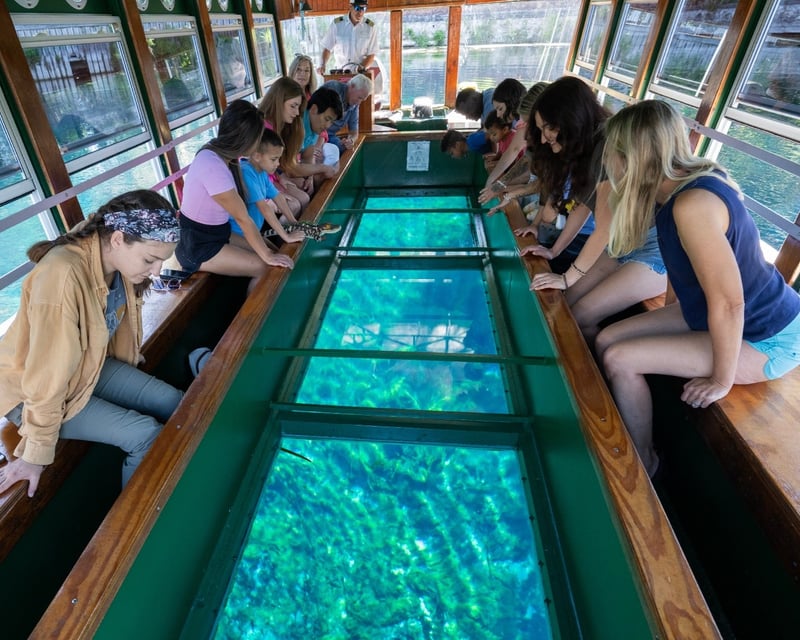 Glass Bottom Boat Tour & Brunch in Silver Springs