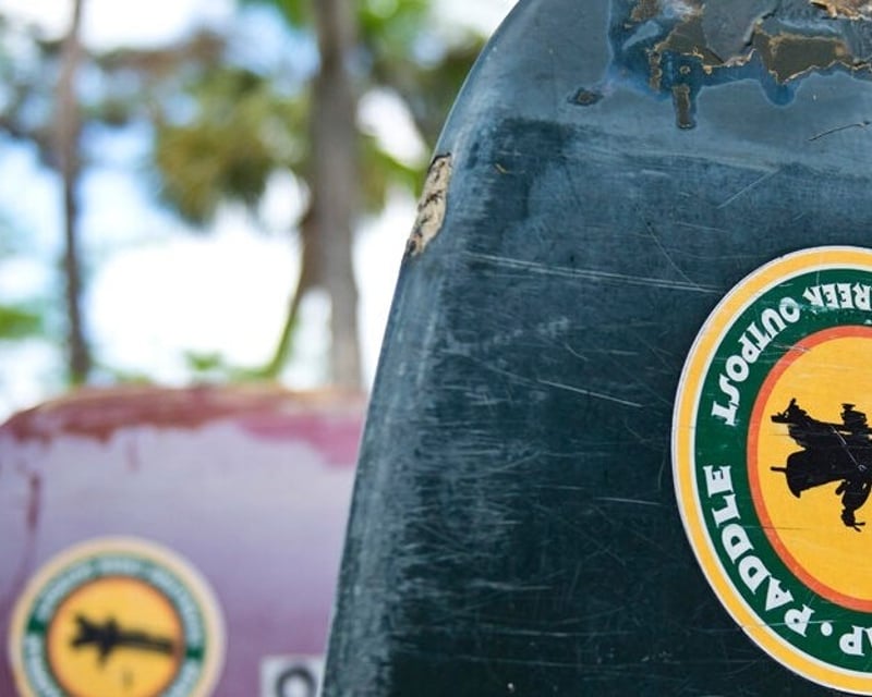 1-Hour Paddling Rental on Fisheating Creek