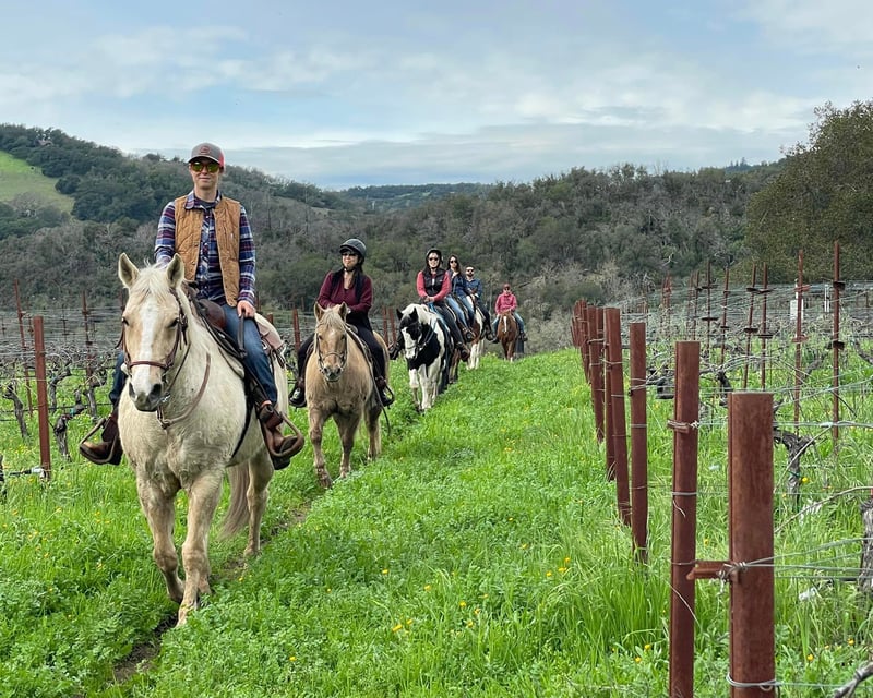 Vineyard Horseback Ride & Wine Tasting in Sonoma