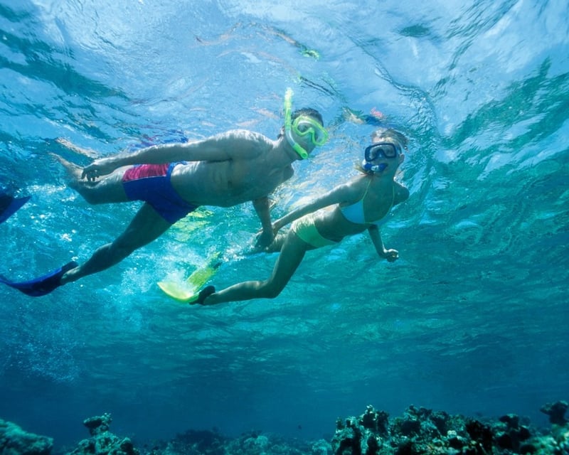 Waikiki Ocean Waterpark Snorkel Cruise