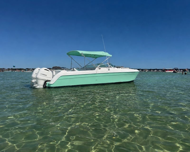 Custom Destin Dolphin & Snorkeling Charter