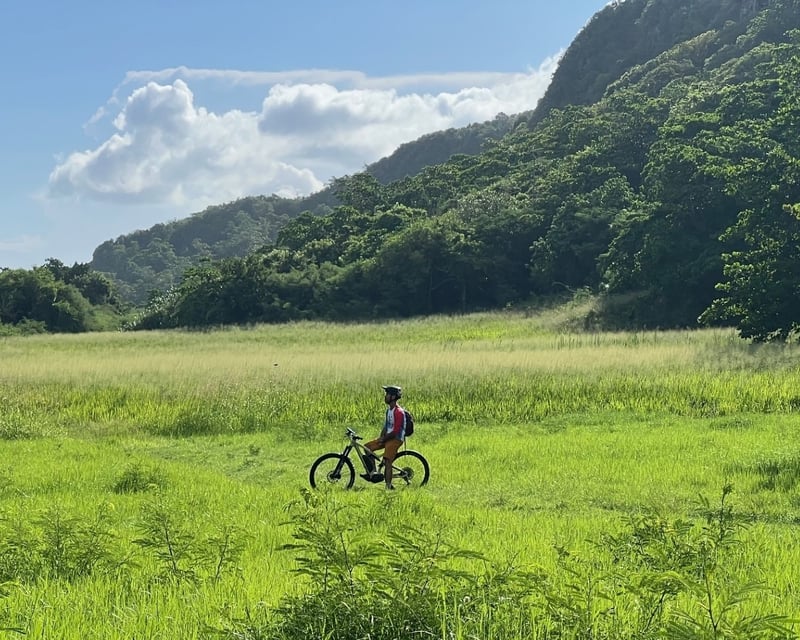 Cliffside Coastal E-Bike Tour in Isabela, Puerto Rico