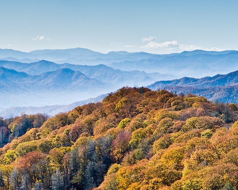 Full-Day UTV Rental in Pigeon Forge
