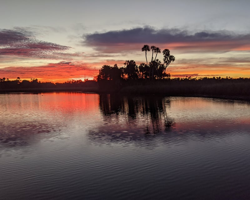Sunset Wildlife Eco Cruise in Crystal River