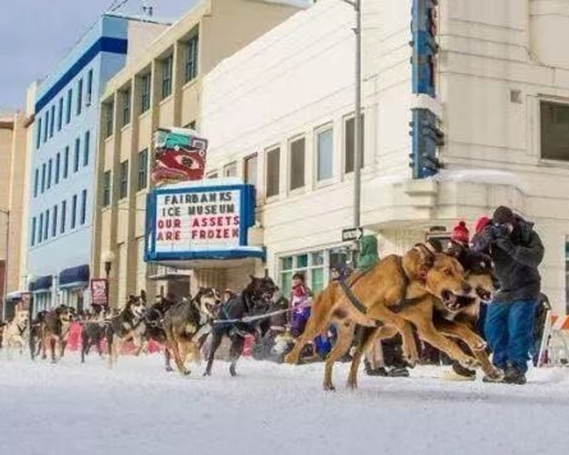 5-Mile Dog Sledding Tour in Fairbanks