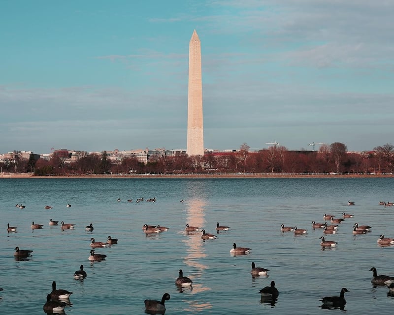 Monuments & Memorials Night Tour in Washington DC