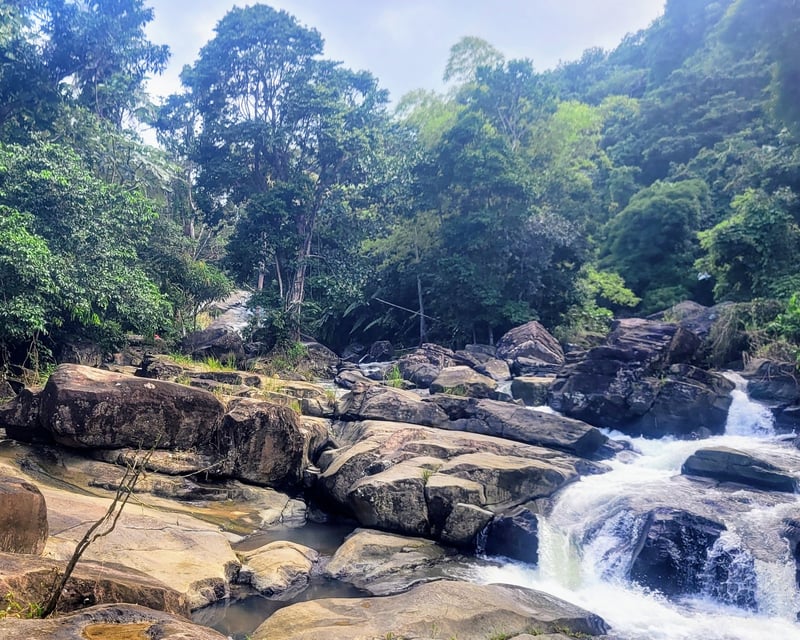 Las Pailas Natural Waterslides Tour From San Juan