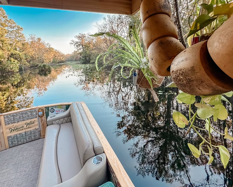 Wild & Scenic Wekiva River Guided Boat Tour