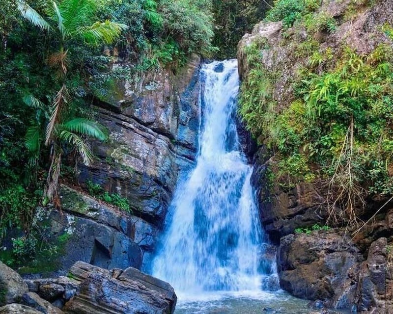 El Yunque Rainforest Hike & Fajardo Bio Bay Kayak Tour