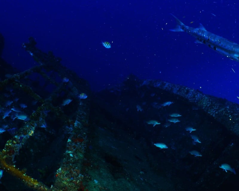 Pompano Beach Guided Night Dive
