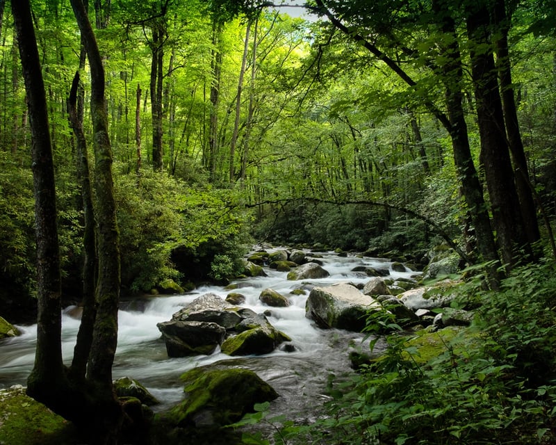 Waterfall & Landscape Photography Tour Near Asheville