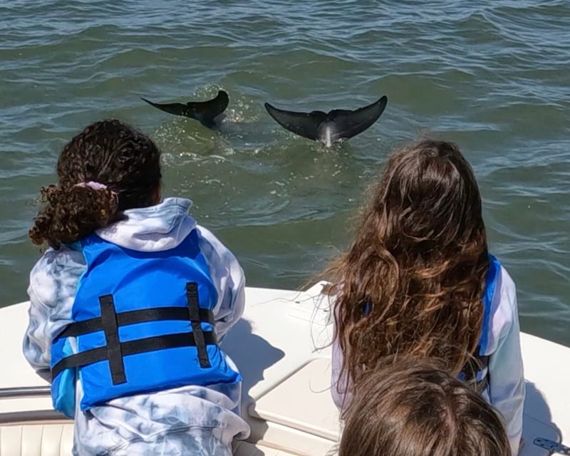 Private Dolphin Tour in Hilton Head Island