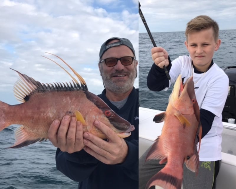 Private Afternoon Offshore Fishing Charter in Madeira Beach