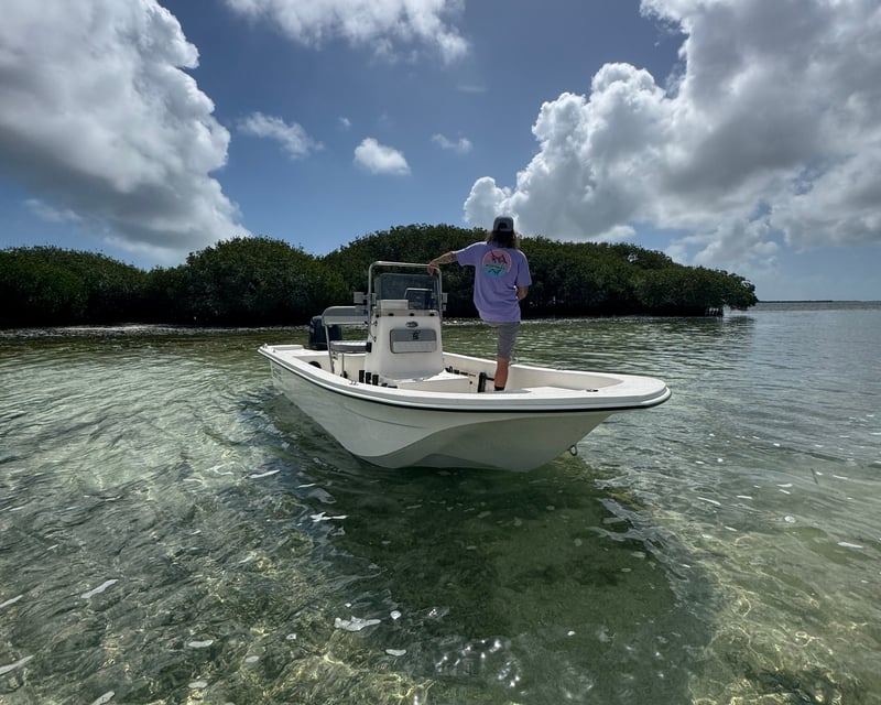 Half-Day Eco & Sunset Boat Charter in Big Pine Key
