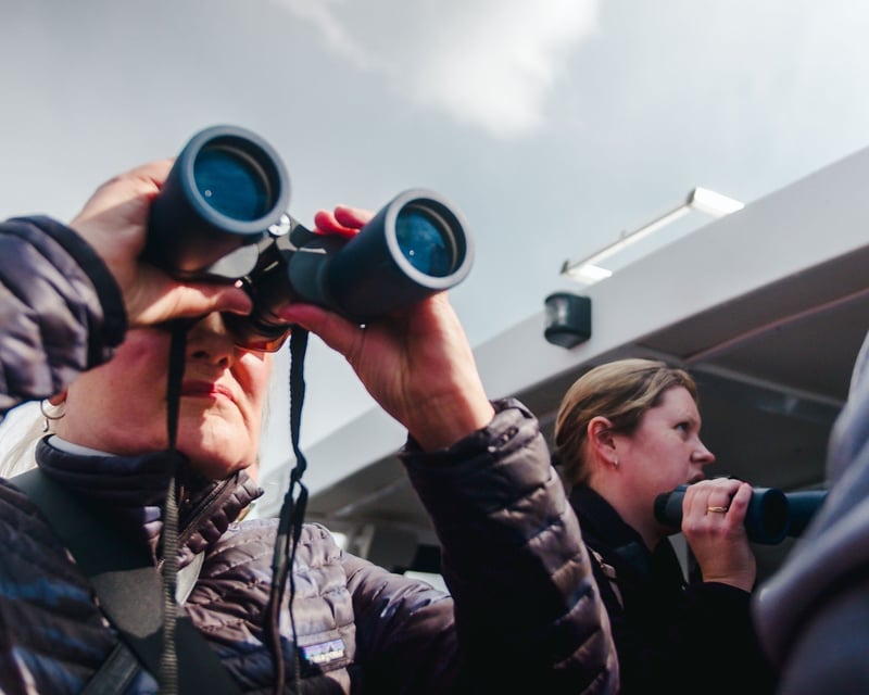 Newport Harbor Seal Watching & Lighthouse Cruise