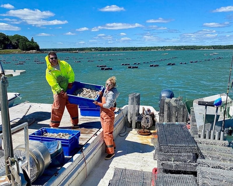 Bar Harbor Oyster Farm Kayak Tour