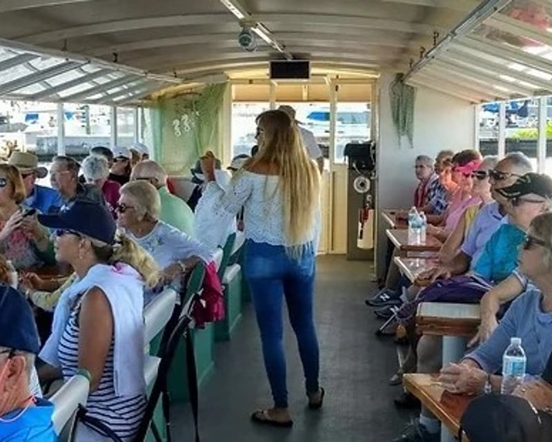 Morning Guided Cruise on the Manatee River