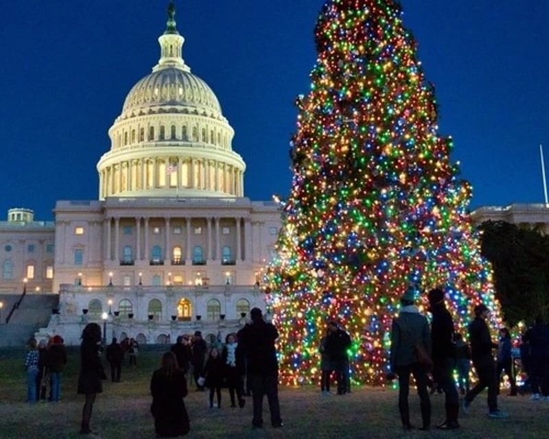 Private Christmas Lights Tour in Washington DC