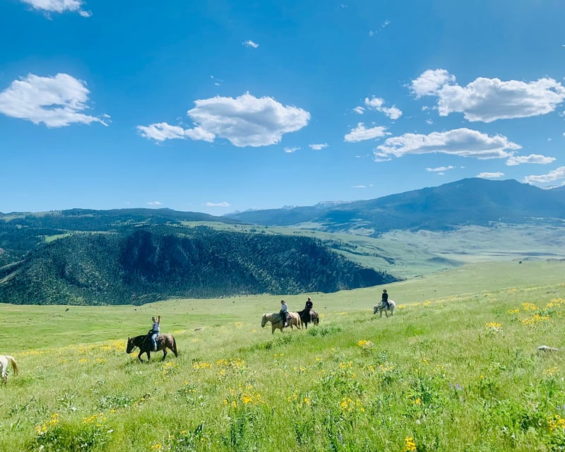 Horseback Ride & 8-Mile Raft Trip Near Yellowstone
