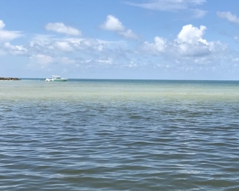 Fort Myers Beach Tiki Cruise