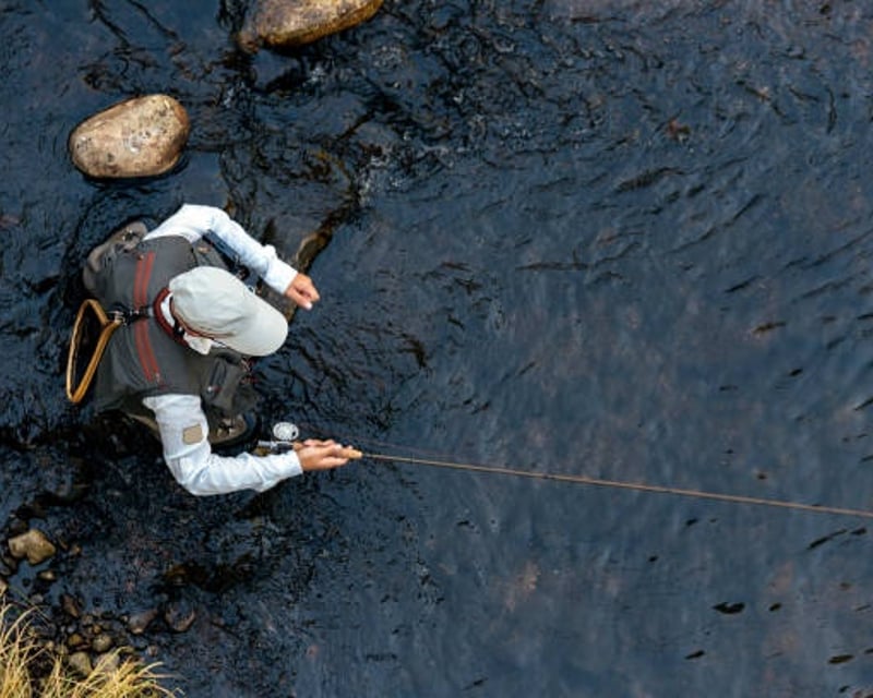 Beginner Fly Fishing Casting Lesson in Longmont, CO