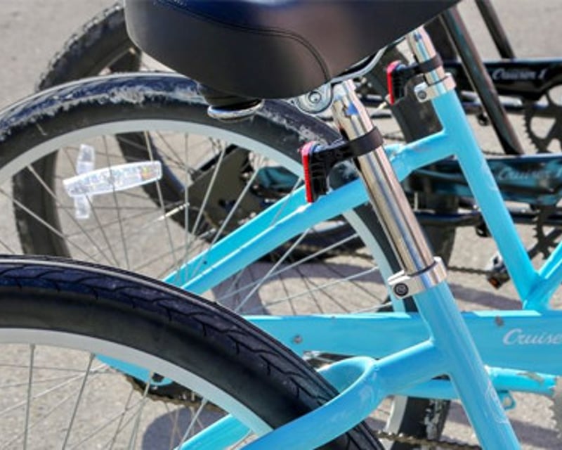 Ride a Bike in Everglades National Park
