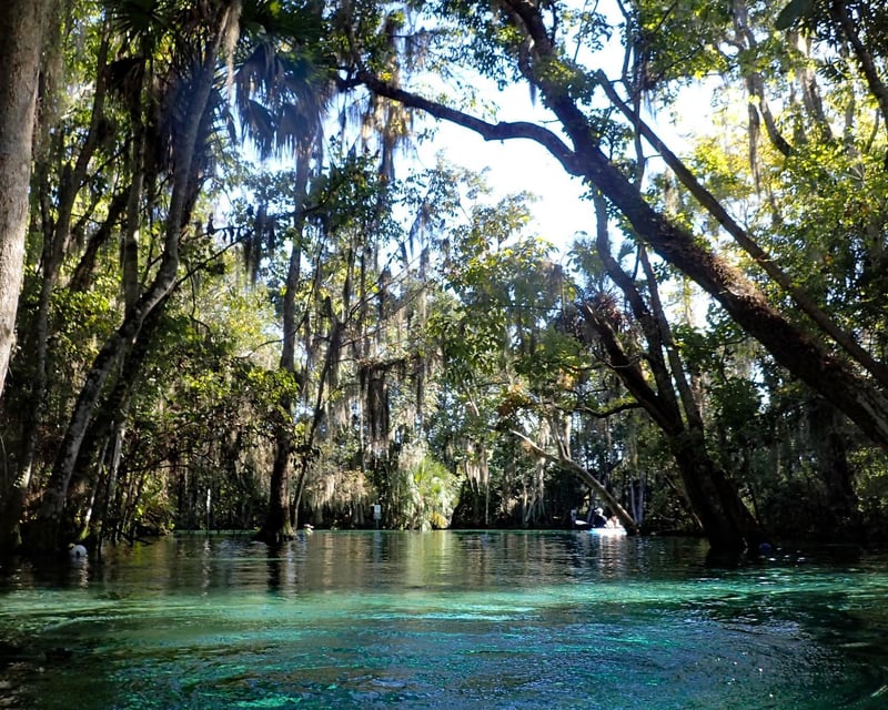3-Hour Private River Sightseeing Cruise in Crystal River