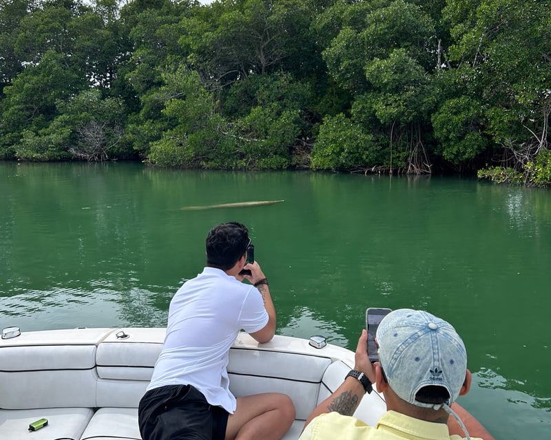 Miami Beach Wildlife Eco Cruise