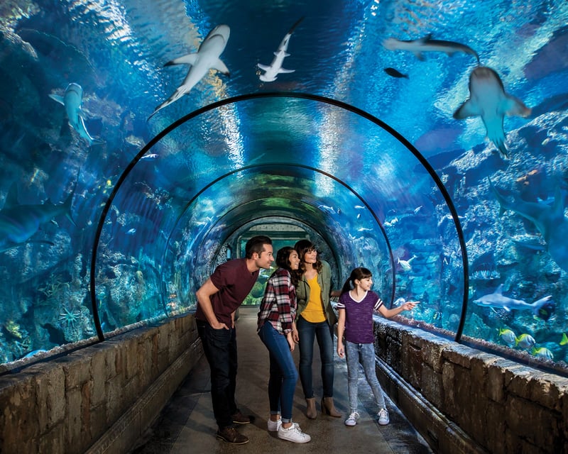 Shark Reef Aquarium Admission at Mandalay Bay, Las Vegas