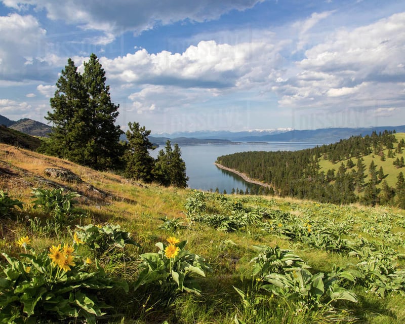 Tour Wild Horse Island on Flathead Lake