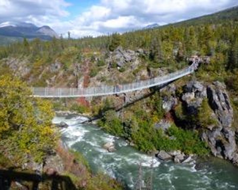 Explore Emerald Lake & Yukon Suspension Bridge Tour