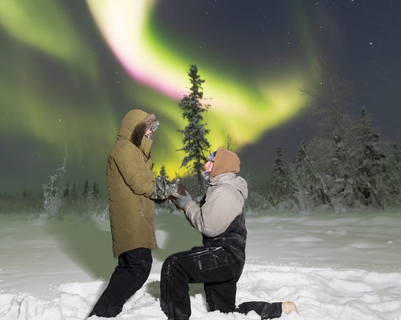 Private Northern Lights Photo Tour in Fairbanks