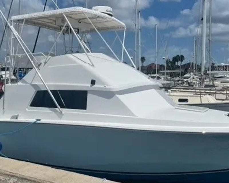 Sportfishing Charter on a 33' Bertram in Cabo San Lucas